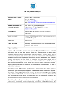 DIT PhD/Doctoral Project - Dublin Institute of Technology