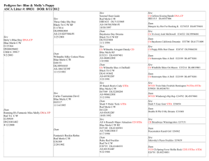 Pedigree for Running B`s Fantastic Miss *Molly*