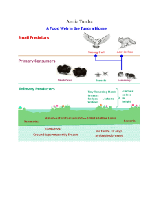 Biomes