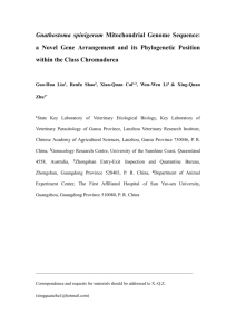 a Novel Gene Arrangement and its Phylogenetic Position