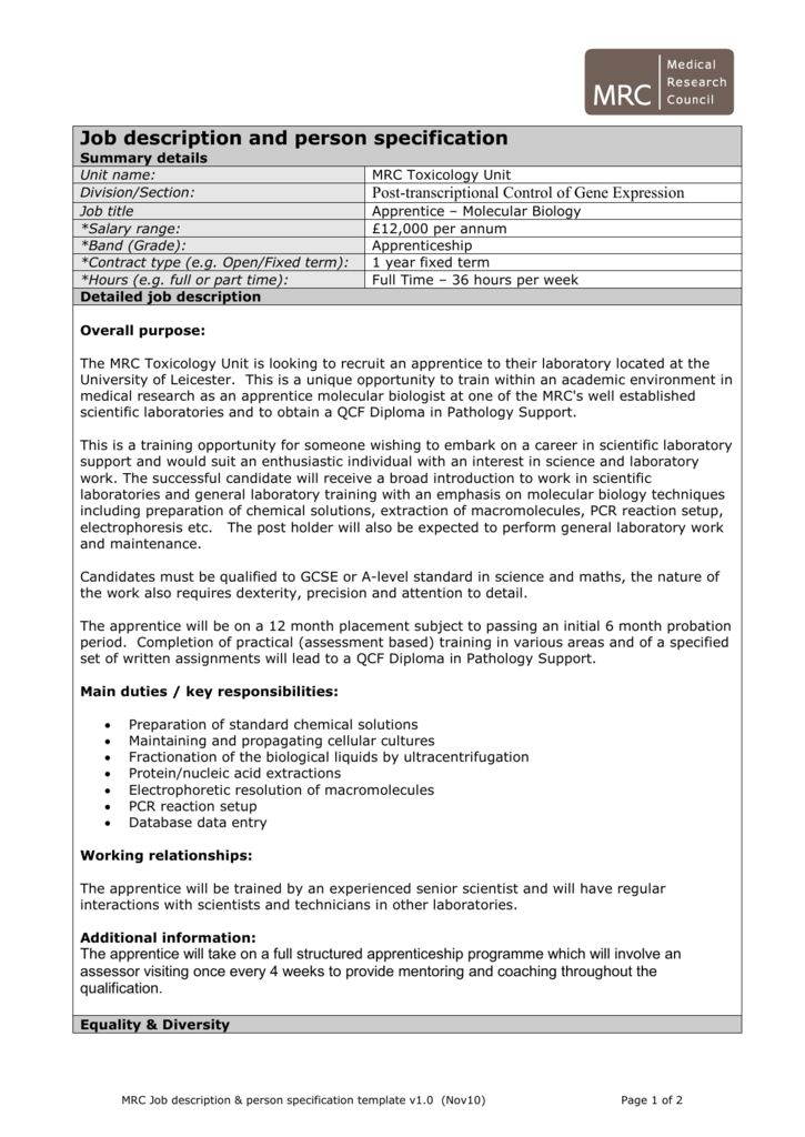 Job description and person specification template