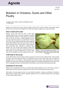 Botulism in Chickens, Ducks and Others