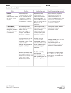 Evolution in Action Rubric (continued)