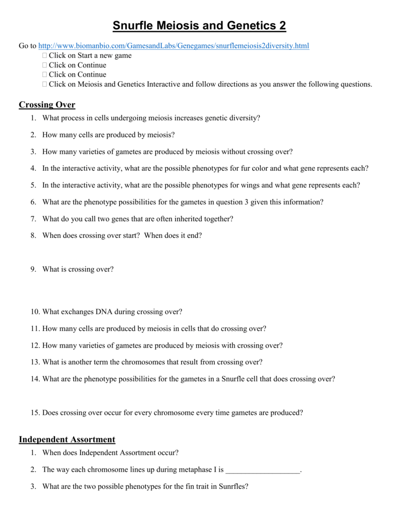 Snurfle Meiosis And Genetics 2 Worksheet