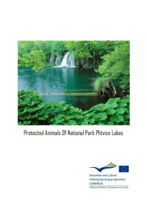 Protected Animals Of National Park Plitvice Lakes CRNI