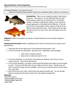 Natural Selection: Fishy Frequencies Adapted from: http://www