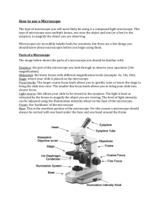Microscope Handout