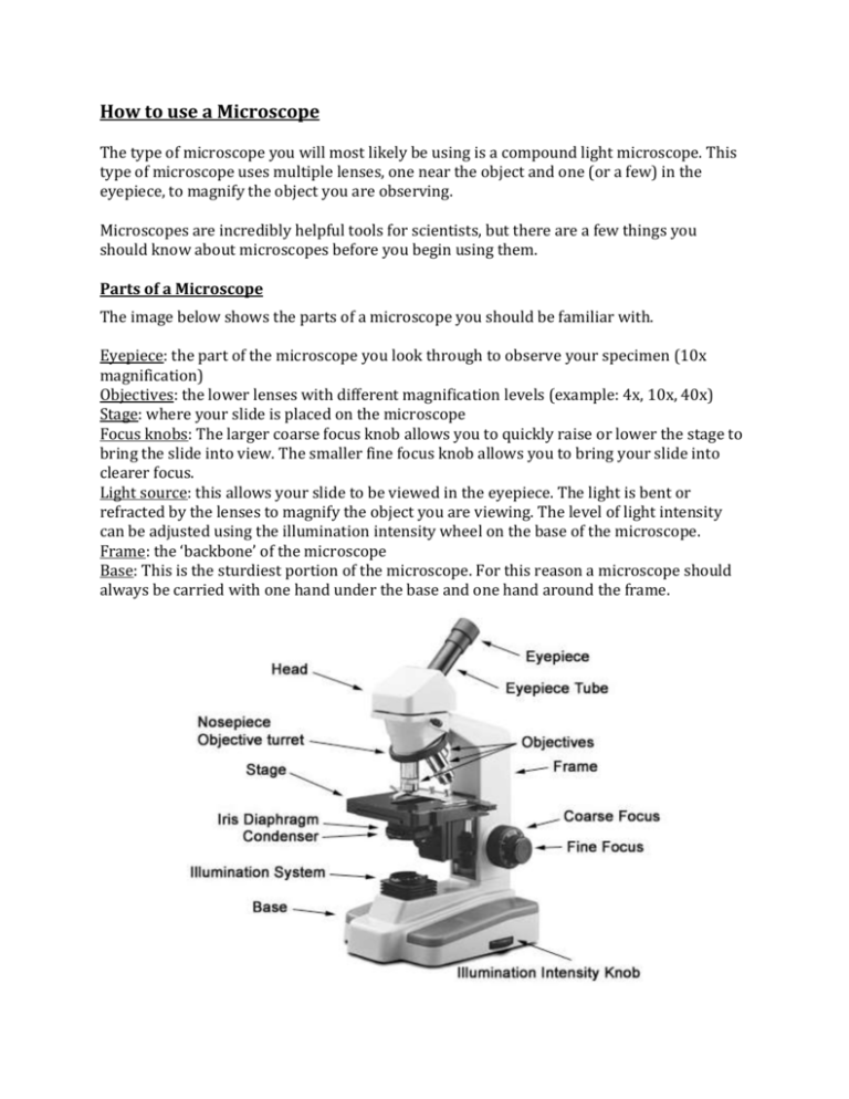 microscope-handout