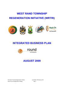 West Rand Business Plan - NDP