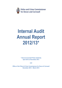 Annual Internal Audit Opinion 2012/13