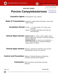 Porcine Campylobacteriosis Fact Sheet