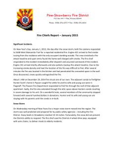 Report - Pine-Strawberry Fire District