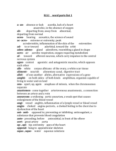 HSI word parts list 1 a