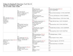 Pedigree for Running B`s Fantastic Miss *Molly*