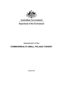 for the Small Pelagic Fishery - Department of the Environment