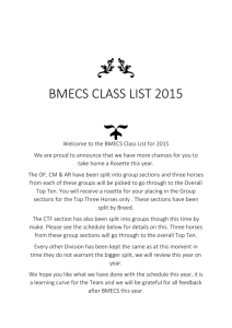 BMECS CLass list 2015 - British Model Equine Championships