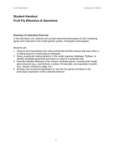 Student Handout Fruit Fly Ethomics & Genomics