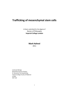 Trafficking of mesenchymal stem cells
