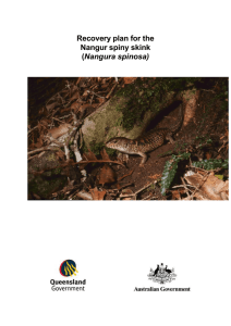 Recovery plan for the Nangur spiny skink (Nangura spinosa), Word