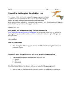 Evolution in Guppies Simulation Lab