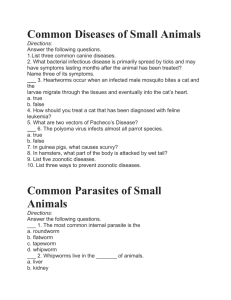 Common Diseases and Parasites of Small Animals Review