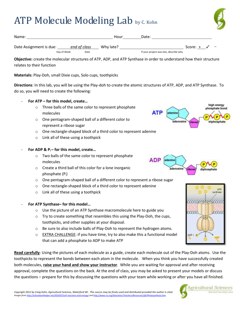 Atp Worksheet Answer Key