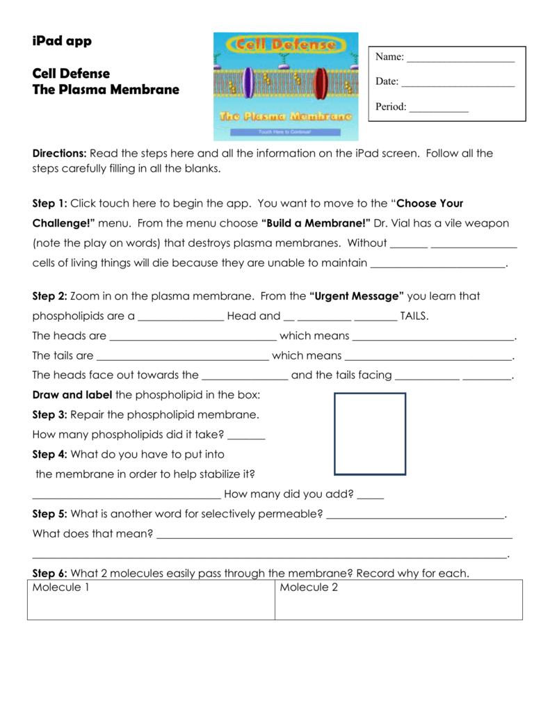 Cell Defense Worksheet