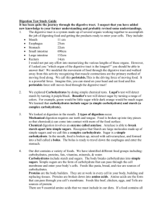 Digestive System Test Study Guide.