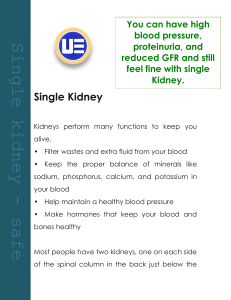 Single Kidney