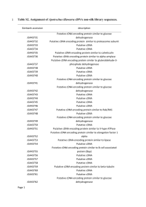 Table S2. Assignment of Apotrechus illawarra cDNA non