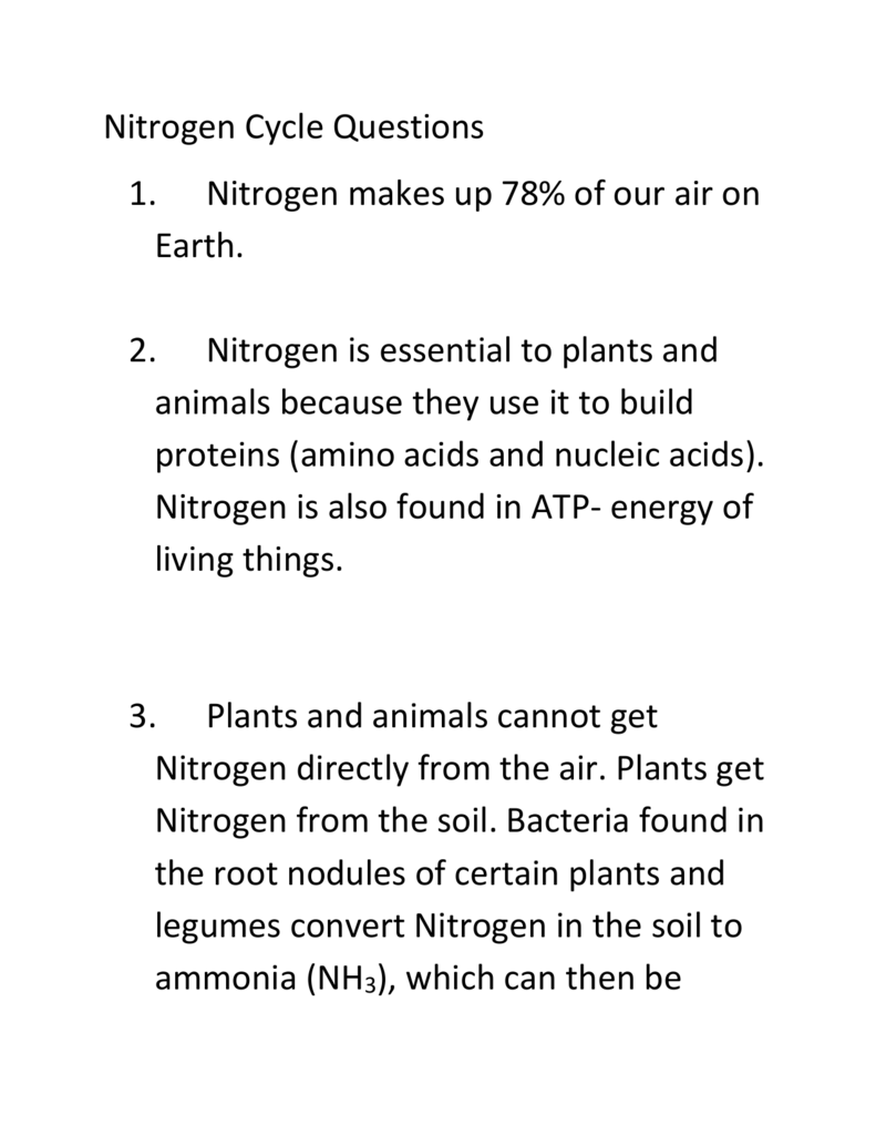 Nitrogen Cycle Homework Answer Key Intended For Nitrogen Cycle Worksheet Answer Key