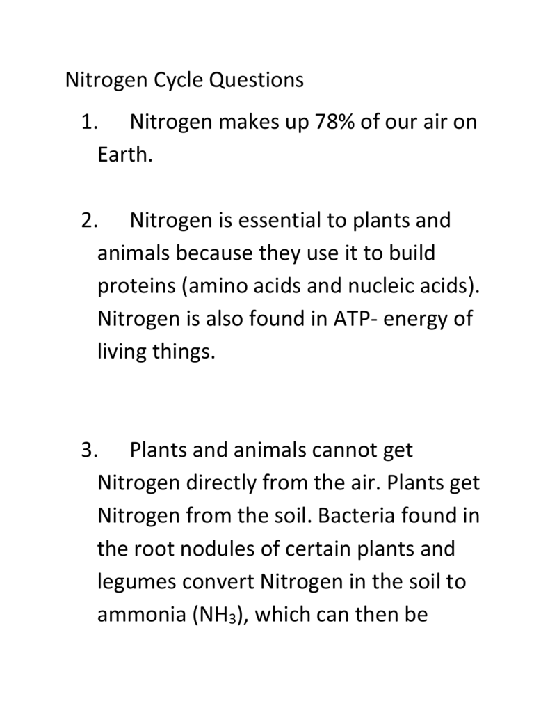 Nitrogen Cycle Homework Answer Key Regarding Nitrogen Cycle Worksheet Answer Key