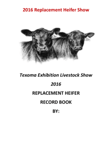 2016 Replacement Heifer Record Book