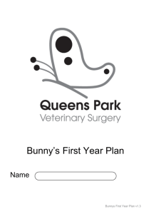 Bunnys First Year Plan v1.3
