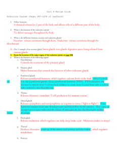 Part B Review Guide Endocrine System (Pages 997