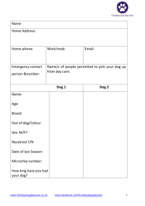 Fundays Dog Day Care application form