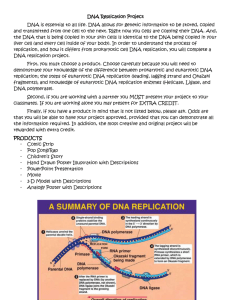 DNA replication Project