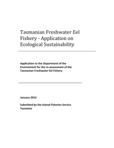 Tasmanian Freshwater Eel Fishery