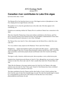 Canadian River contributes to Lake Erie algae