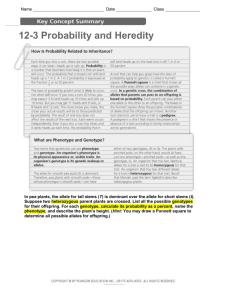 12-3 Probability and Heredity Understanding Main