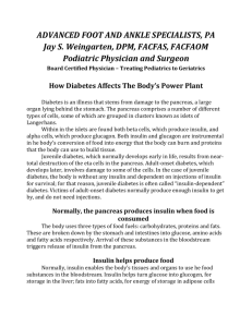 How Diabetes Affects The Body`s Power Plant