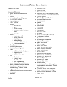 Anatomy Structures List