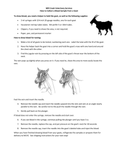 How to Collect Blood From a Goat