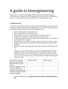 Student Handout: A Guide to Bioengineering