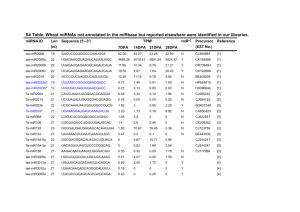 S4 Table. Wheat miRNAs not annotated in the miRbase but reported