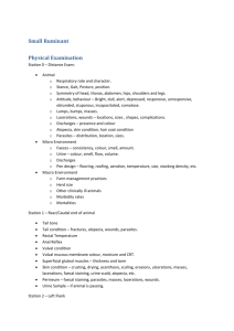 Year 3 Small Ruminant Clinical Skills Handout