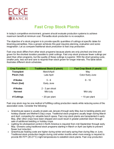 Fast Crop Stock Plants