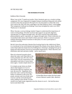 32.Wonder of Water - Land Preservation Society of Norton
