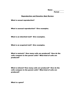 Dihybrid Cross Worksheet