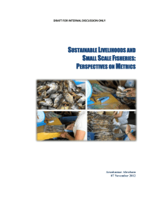 3. Convergence Between Sustainable Livelihoods and Small Scale